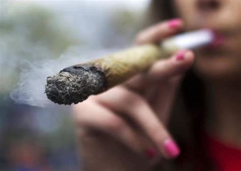 Maconha E Cigarro Cedo Brasil Estadão