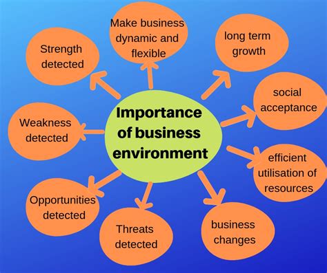 Importance of Business Environment with Example