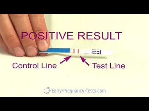 Testing blood for hcg results in the earliest detection of pregnancy. Pregnancy Test Strip - YouTube