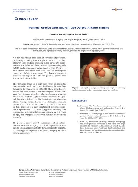 Pdf Perineal Groove With Neural Tube Defect A Rarer Finding
