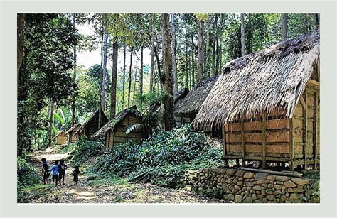 Fakta Suku Baduy Banten Yang Jarang Diketahui Orang Cilegon Hills