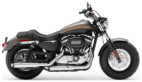 New 2019 Harley Davidson 1200 Custom Industrial Gray Denim Black