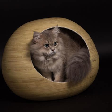 20 Best Luxury Cat Beds You Can Buy Online In 2023