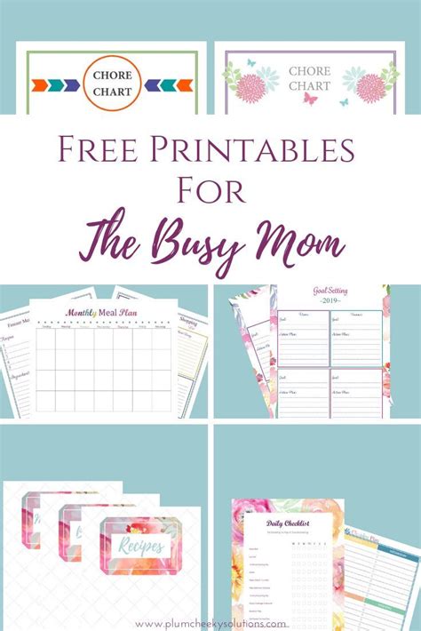 Free Homemaking Printables For The Busy Mom — Plum Cheeky Solutions