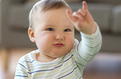 Baby Sign Language Myths Encompass