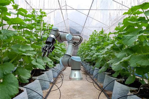 Understanding Agricultural Robots Ria Blog