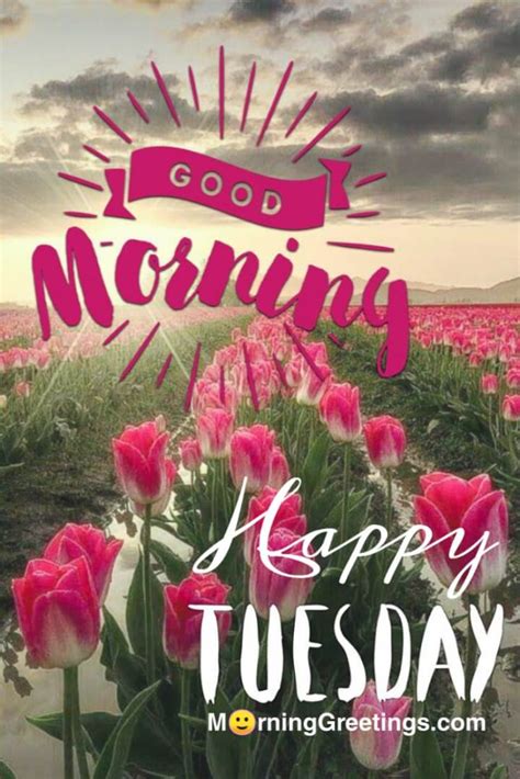 happy tuesday morning wishes good morning happy tuesday good morning tuesday happy