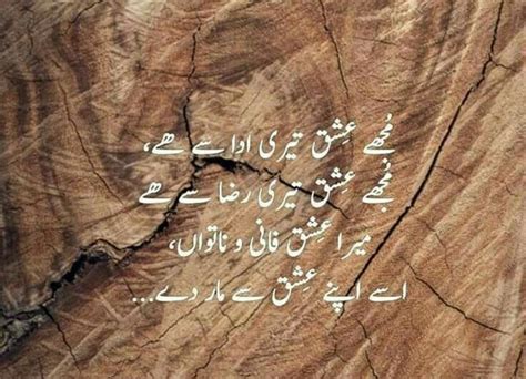 Pin By Shaziairfan On Ishq Urdu Poetry Poetry Sufi