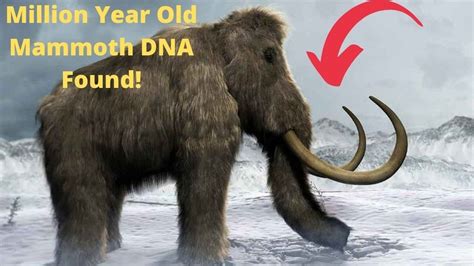 World S Oldest DNA Found In Wooly Mammoth Ancient Destinations YouTube