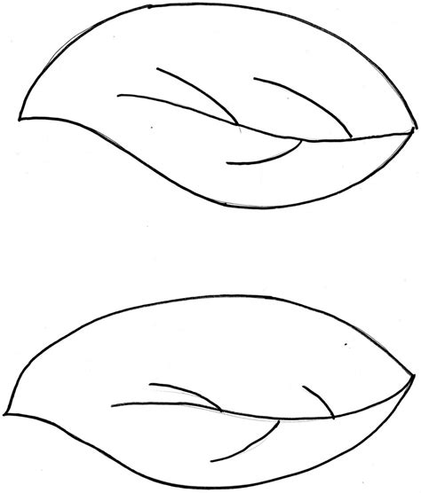 Find thousands of free and printable coloring pages and books on coloringpages.org! Oak Leaves Clip Art Black And White | Clipart Panda - Free ...