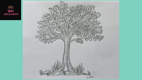 How To Draw The Realistic Tree Pencil Sketch Step By Step Neem Tree