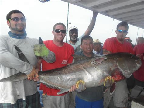 Greater Amberjack Harvest Closing In The Gulf Florida Sportsman