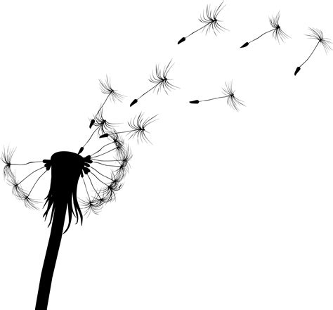 Dandelion Silhouette Vector Free at GetDrawings | Free download