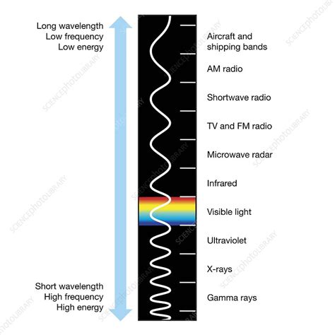 Electromagnetic spectrum, illustration - Stock Image - C050/7604 - Science Photo Library