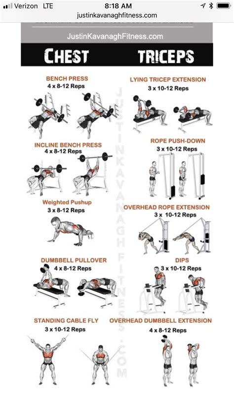 Pin By Beth Manuel On Figure Competition Tricep Workout Gym Gym