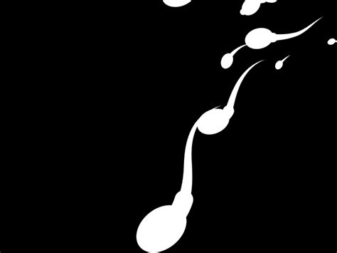 Sperm Animation By Peter Arumugam On Dribbble