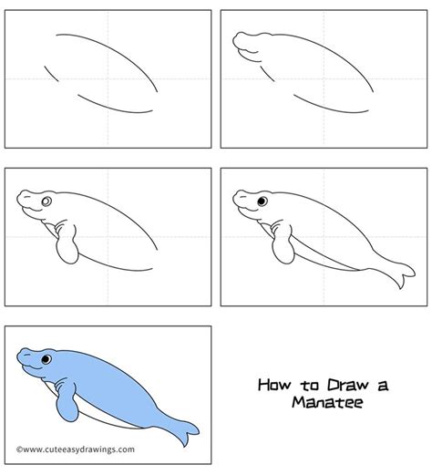 How To Draw A Manatee Easy Step By Step For Kids Cute Easy Drawings