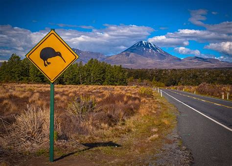 How To Prepare For A New Zealand Road Trip The Road Trip New Zealand
