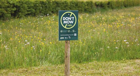 Watch Out For A Dont Mow Let It Grow Sign Near You Dont Mow Let