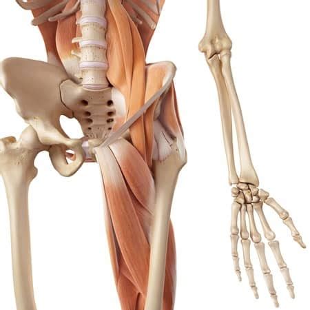 This could increase the risk of back pain, particularly if you. 5 Ways Poor Form With Hip Flexor Stretches Hurt You ...