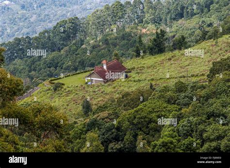 House On Hill Slope Munnar Kerala India Asia Stock Photo Alamy