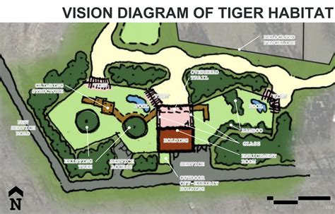 Tigers New Enclosure Plumpton Park Zoo
