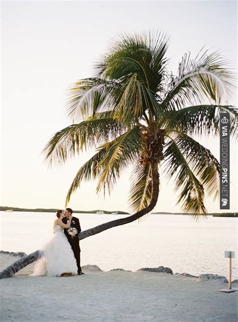 Bride And Groom Portrait On A Leaning Palm Tree Photo Ozzy Garcia
