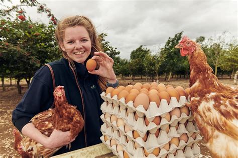 Morrisons Eggs For Farmers Range Helps Fund Woodland Planting Schemes