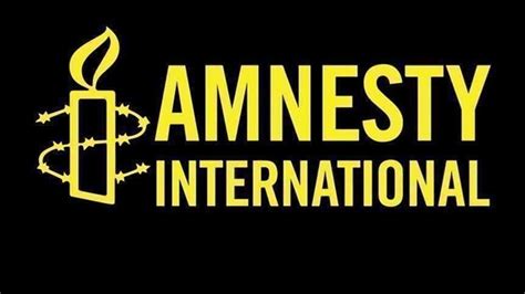 Amnesty International Calls On Un To Back Aid To Idlib