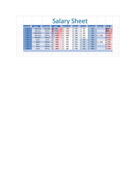 Salary Sheet Freelancer