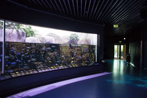 Blue Planet Aquarium Copenhagen Architecture Revived