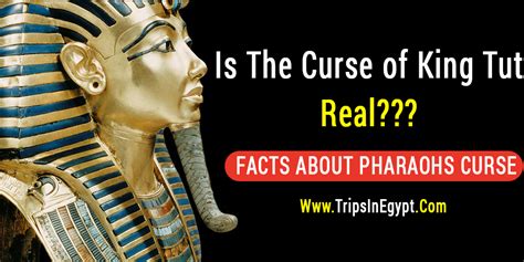 The Pharaohs Curse Curse Of Tutankhamun Facts Is The Curse Of King