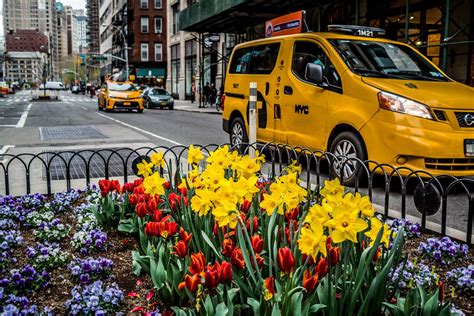 Printemps à New York Les Meilleurs évènements Et Appartements Le