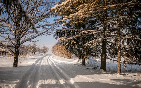 Download Wallpaper 3840x2400 Road Snow Trail Trees Winter 4k Ultra