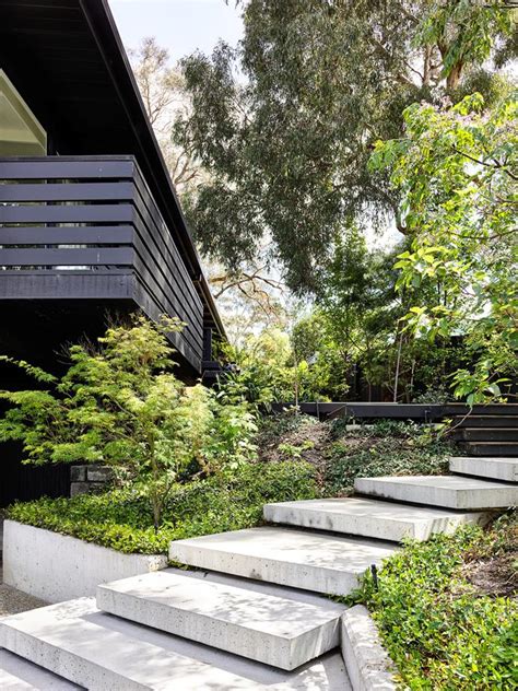 A Mid Century Modern Garden In Melbournes East Real Living