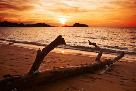 Tropical Sunset — Stock Photo © Deltaoff 1641731