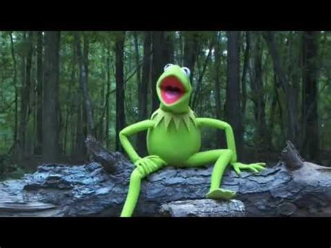 This Is Kermit The Frog Here And You Just Posted Cringe Full Version Youtube