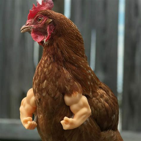 Funny Muscle Chicken Arms Chicken Wings Funny Boxing Arm Etsy