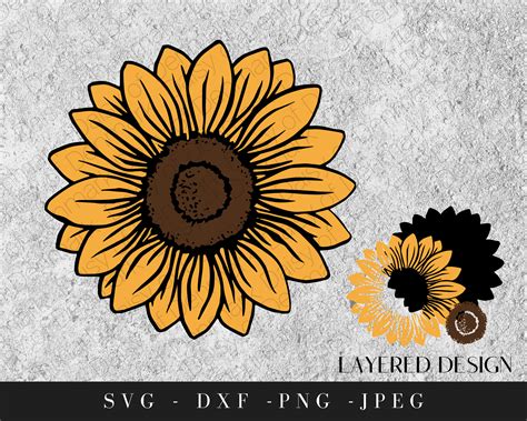 Sunflower Clipart Svg Files For Cricut Sunflower Png Clip Art Sunflower