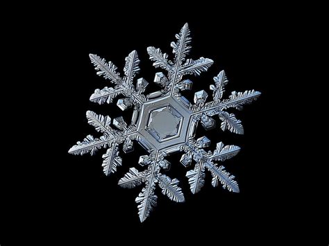 Real Snowflake 2016 01 239300 8b Photograph By Alexey Kljatov Fine