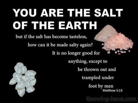 Matthew 513 Salt And Light Salt Of The Earth Matthews