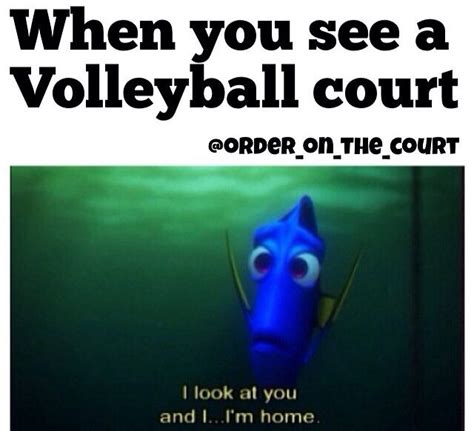 Funny Beach Volleyball Quotes Shortquotescc