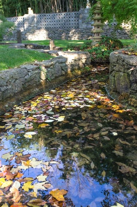 This baltimore suburb certainly has enough food to feed weary travelers, with a dining scene that ranges from classic american to pakistani cuisine. Museum of the Shenandoah Valley Chinese Garden- Fall ...