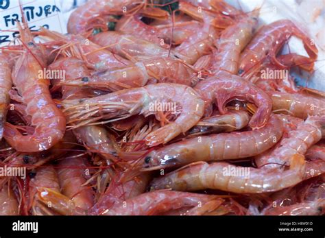 Close Up Of Fresh Whole Raw Shrimp Or Prawns On Display In Fish Market