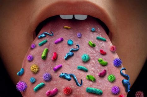 The Oral Microbiome And Its Impact On Every Other System In The Body