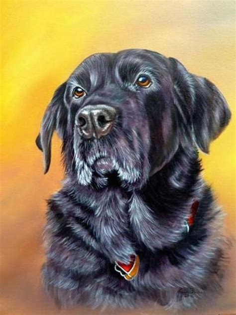 How To Paint A Dog In Acrylics By Mariondutton Dog Portraits Painting