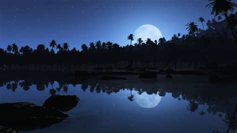 Картинки природа пейзаж ночь ночной тропики тропический луна