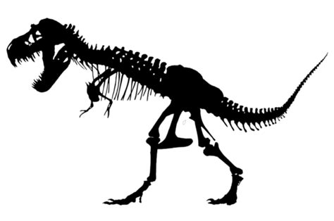 Maybe you would like to learn more about one of these? Stegosaurus Tyrannosaurus Apatosaurus Brachiosaurus ...