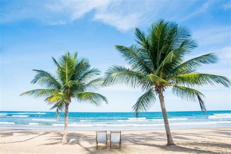 Best Beaches To Visit On Gulf Coast 7 Amazing Gulf Coast Beaches Youre