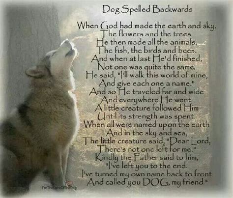 Dog Is God Spelled Backwards Dog Poems Dogs Dog Quotes